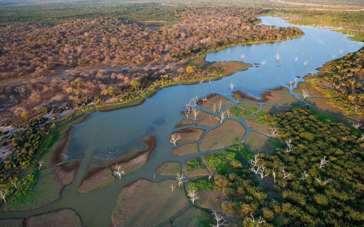 Vue aérienne de la réserve de gibier de Selous (Tanzanie)