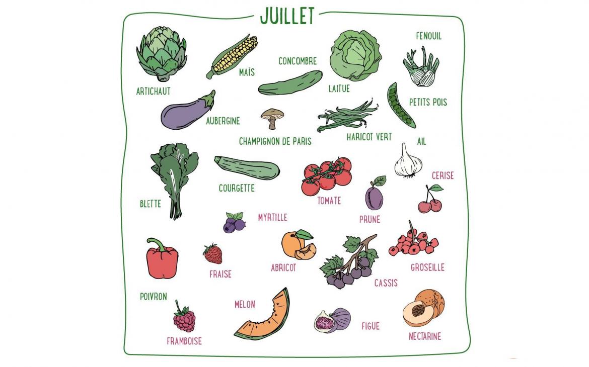Mais, concombre, ail, poivrons, abricots, nectarines, figues... Découvrez les fruits & légumes du mois de juillet en France métropolitaine.